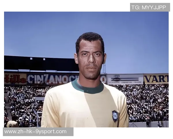 非洲足球的崛起与辉煌历程探索最强球队与球员的传奇故事